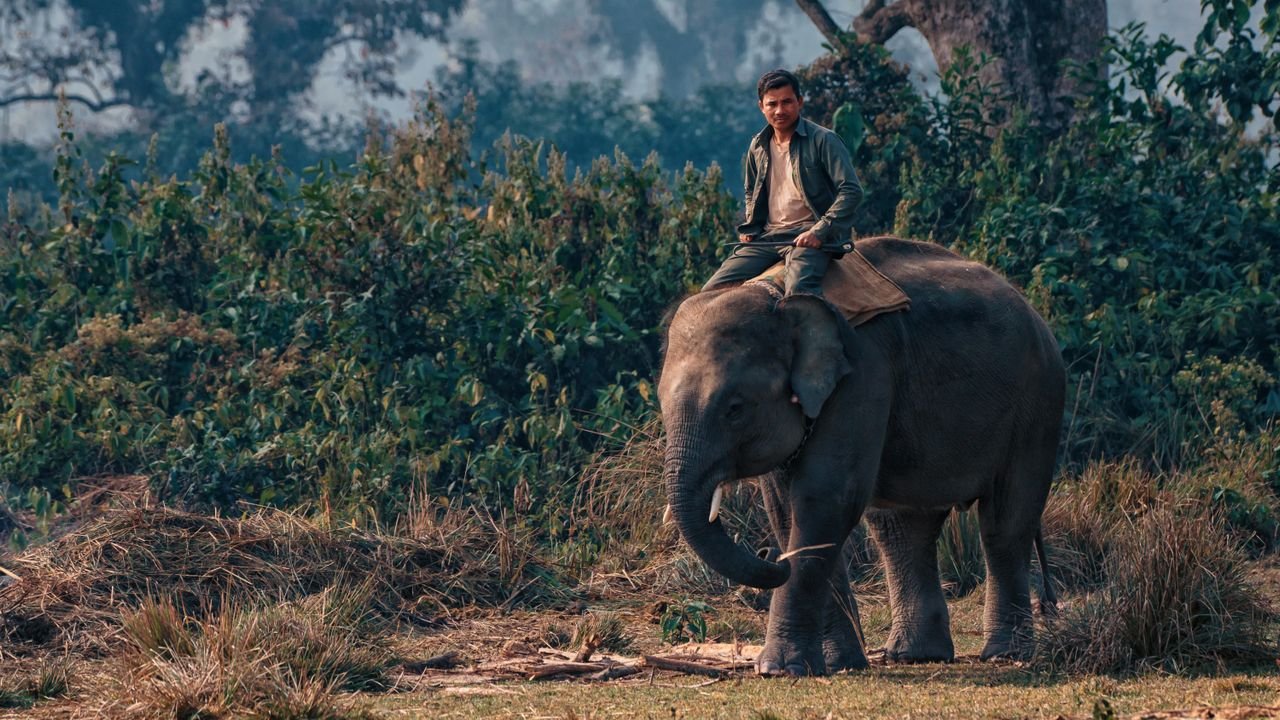 Chitwan nature and wildlife landscape in Nepal
